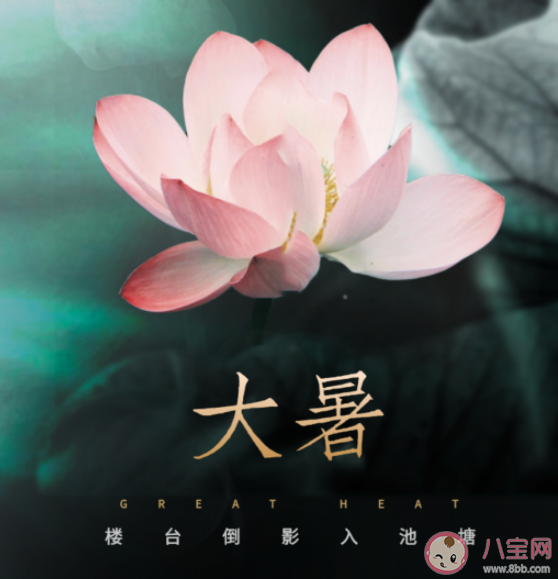 二十四节气大暑问候语心情说说 大暑节气暖心祝福语句子大全