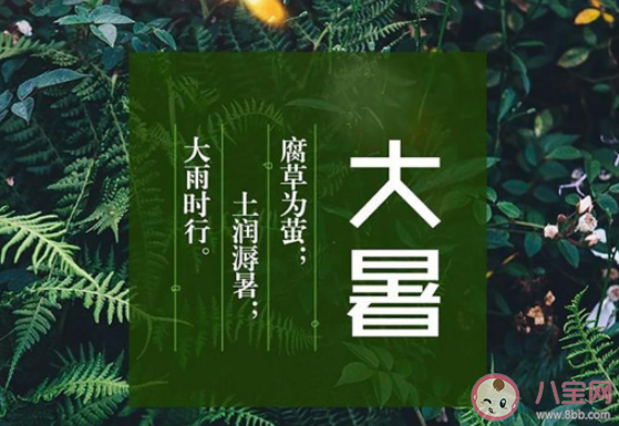 二十四节气大暑问候语心情说说 大暑节气暖心祝福语句子大全