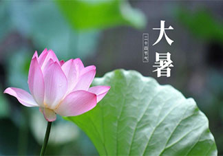 2021大暑节气图片祝福语说说句子 2021大暑节气一句话说说带图