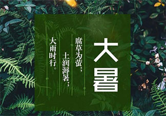 二十四节气大暑问候语心情说说 大暑节气暖心祝福语句子大全