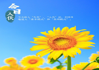 今日入伏朋友圈文案图片句子 入伏祝福语短句唯美