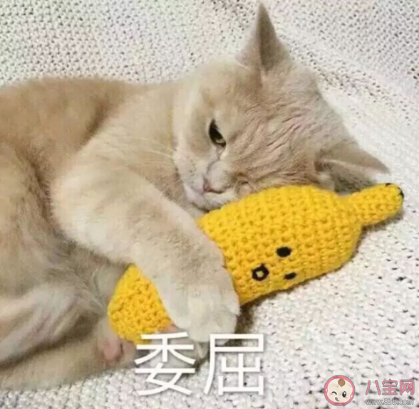 工作中受了委屈该如何排解 工作受委屈要辞职吗