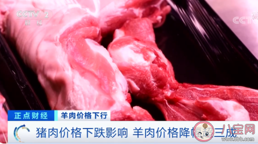 羊肉价格降幅超三成是什么原因 下半年羊肉还会涨价吗