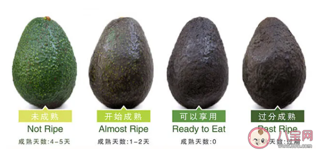 牛油果真的能减肥吗 牛油果什么颜色比较好吃 牛油果真的能减肥吗 牛油果什么颜色比较好吃