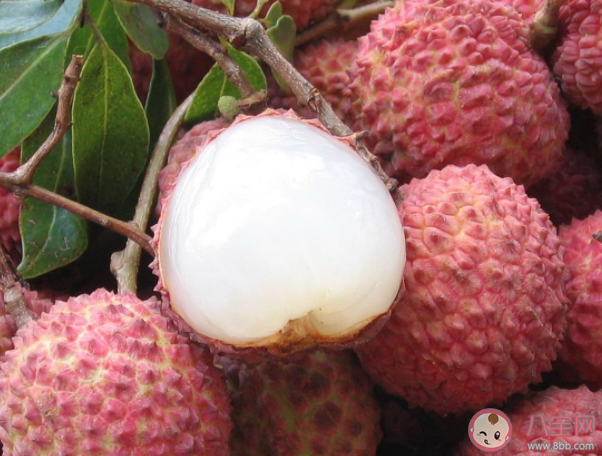 桃子西瓜不能一起吃是真的吗 夏季可以吃哪些应季水果