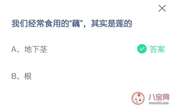 我们经常吃的藕其实是莲的什么 蚂蚁庄园7月16日答案最新：