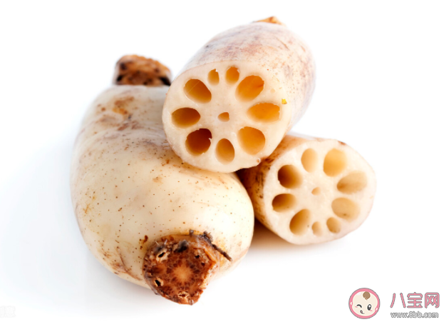我们经常吃的藕其实是莲的什么 蚂蚁庄园7月16日答案最新：