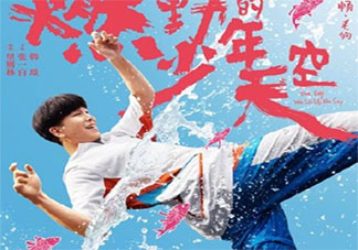 《燃野少年的天空》好不好看 《燃野少年的天空》影评怎么样