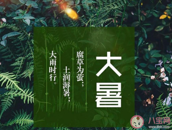 最新大暑节气经典暖心祝福语句子 大暑节气暖心一句话说说祝福