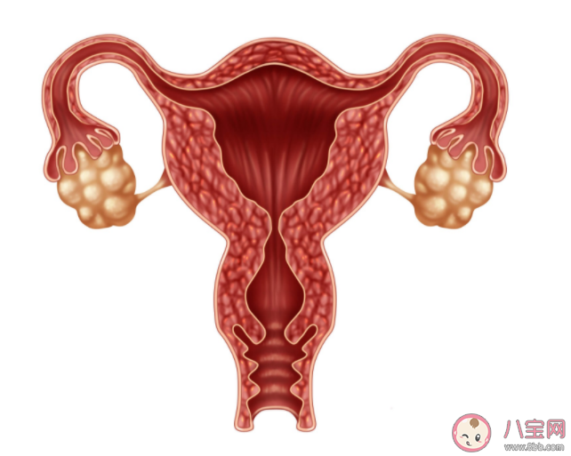 做宫腔镜检查会影响生育吗 什么时候做宫腔镜效果最好 做宫腔镜检查会影响生育吗 什么时候做宫腔镜效果最好