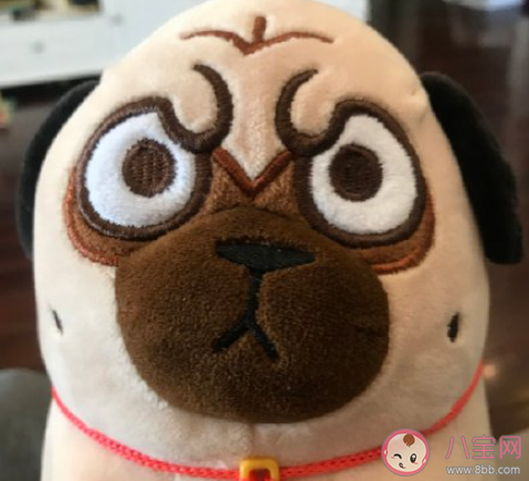 爱好该不该成为工作 如何看待把爱好当做自己的工作