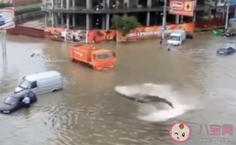 河南暴雨辟谣消息汇总 关于河南暴雨的谣言有哪些