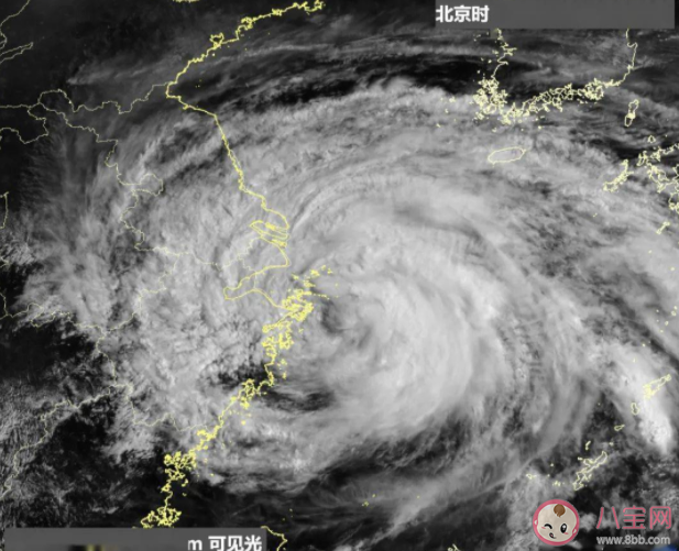 台风天气避险指南思维导图 身处台风登陆地应该做什么