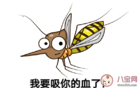 什么样的人最容易招蚊子 如何避免被蚊子咬