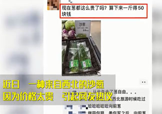 沙葱卖50一斤仍供不应求 天价沙葱贵在哪