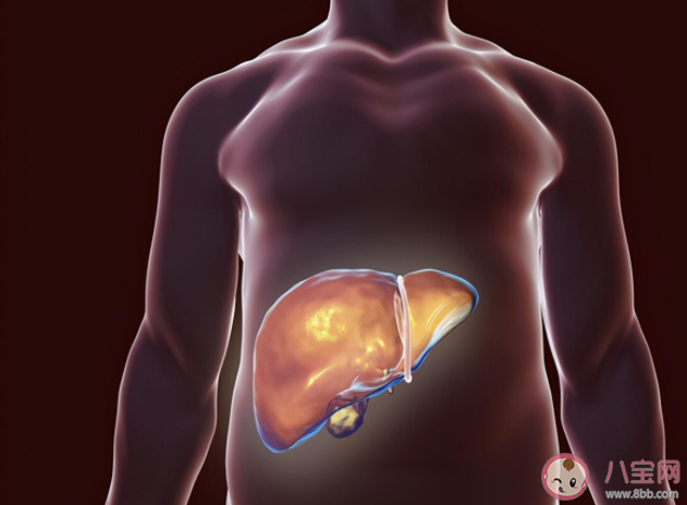 甲乙丙丁戊五种肝炎有什么不同 哪些不良习惯容易引发肝炎