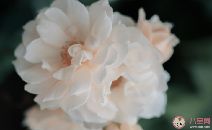 女生为什么一直试探自己的男朋友 女朋友总是试探我怎么办