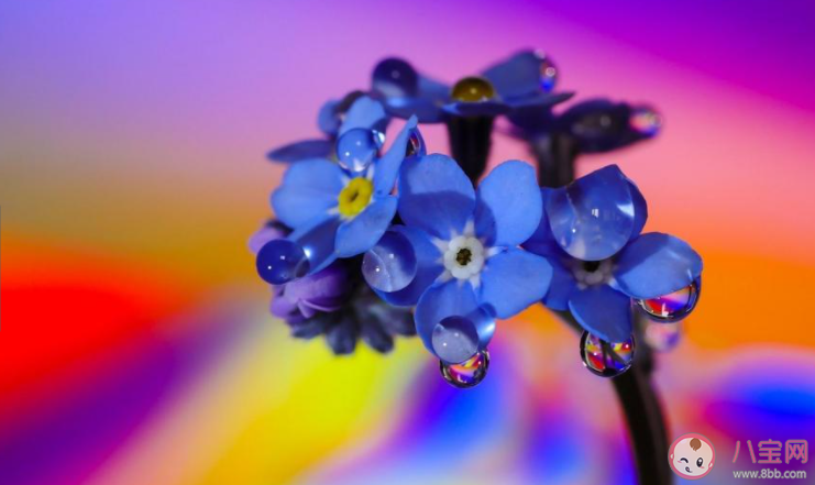 女生为什么一直试探自己的男朋友 女朋友总是试探我怎么办