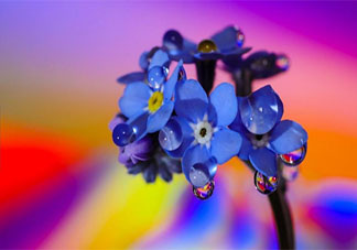 女生为什么一直试探自己的男朋友 女朋友总是试探我怎么办