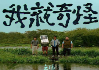 鱼丁糸新歌《我就奇怪》歌词是什么 《我就奇怪》完整版歌词在线试听