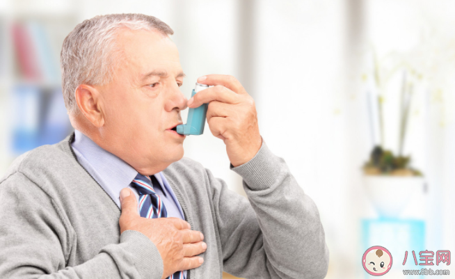 养猫更容易得哮喘吗 有哮喘可以养猫吗