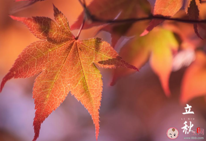 立秋了的朋友圈心情配文 今日立秋的感慨句子大全