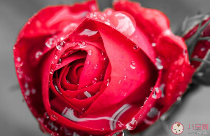 第一次过七夕说什么话 第一次过七夕发朋友圈句子