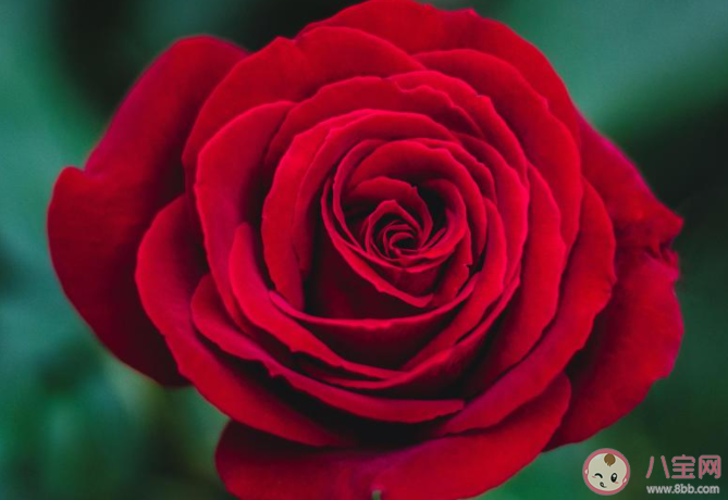 第一次过七夕说什么话 第一次过七夕发朋友圈句子