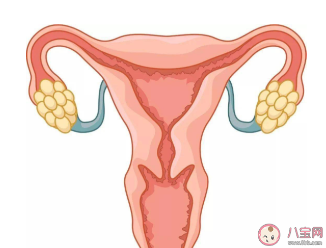 年纪轻轻为什么会得卵巢囊肿 卵巢囊肿有哪些并发症