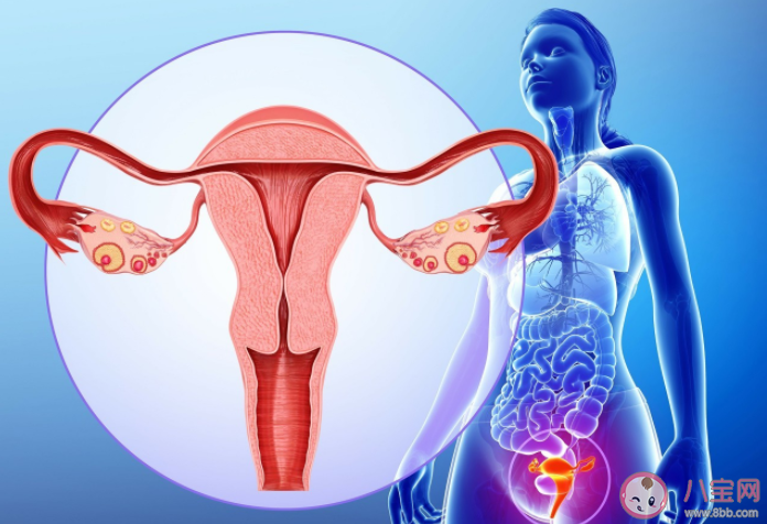 年纪轻轻为什么会得卵巢囊肿 卵巢囊肿有哪些并发症
