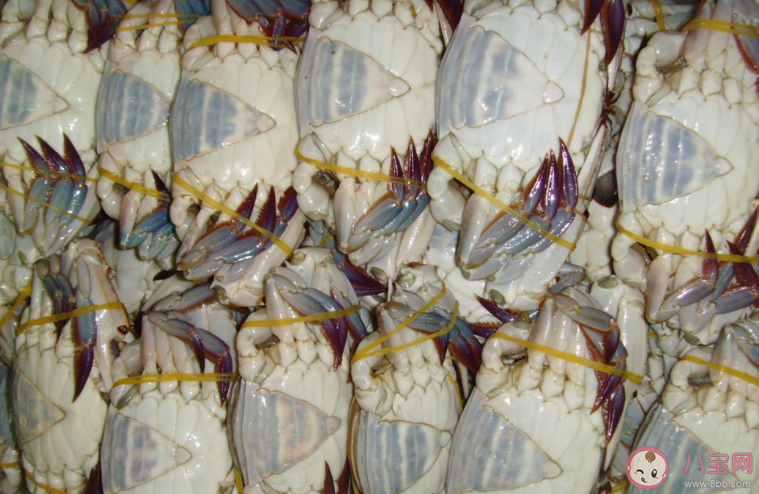 东海开海梭子蟹同比降价两成 梭子蟹为什么降价了 东海开海梭子蟹同比降价两成 梭子蟹为什么降价了