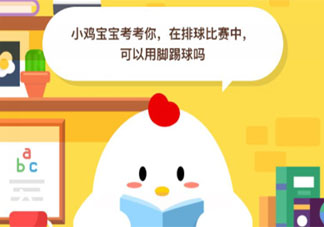 在排球比赛中可以用脚踢球吗 蚂蚁庄园8月4日小课堂答案