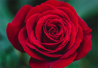 第一次过七夕说什么话 第一次过七夕发朋友圈句子