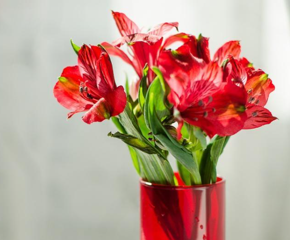 该不该帮朋友隐瞒病史 人情重要还是人品重要 该不该帮朋友隐瞒病史 人情重要还是人品重要