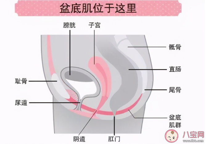 没生过孩子就不需要做盆底肌修复吗 孕期怎么做避免减轻盆底肌损伤