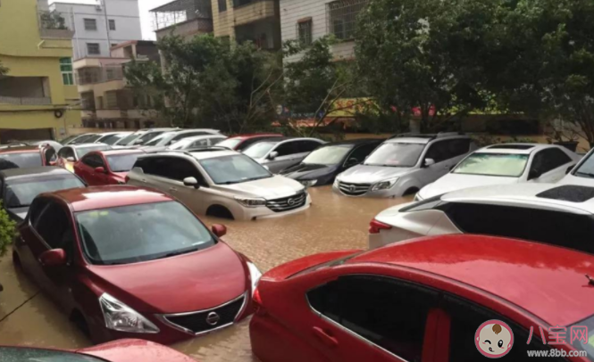 泡水车或流向二手市场 怎么避免买到泡水车