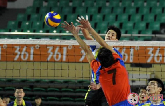 男子排球和女子排球的球网一样高吗 蚂蚁庄园8月6日答案