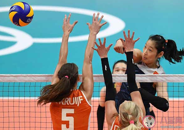 男子排球和女子排球的球网一样高吗 蚂蚁庄园8月6日答案