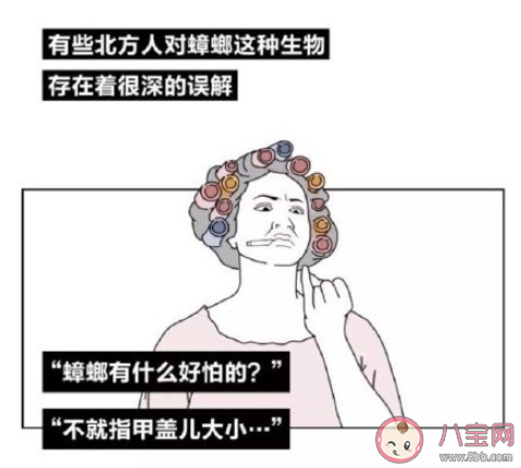 在南方上大学是什么体验 在南方上大学你最大的感受是什么 在南方上大学是什么体验 在南方上大学你最大的感受是什么