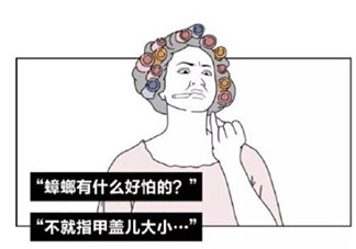 在南方上大学是什么体验 在南方上大学你最大的感受是什么