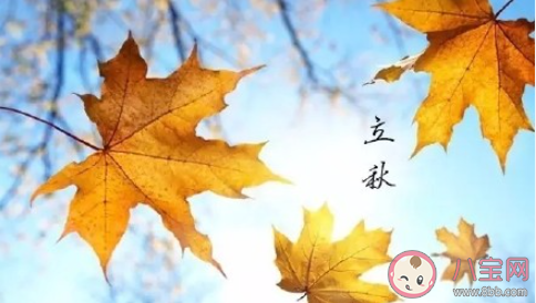 2021年立秋是几月几日几点 立秋之后要注意些什么
