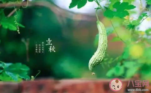 2021年立秋是几月几日几点 立秋之后要注意些什么