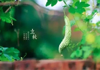 2021年立秋是几月几日几点 立秋之后要注意些什么