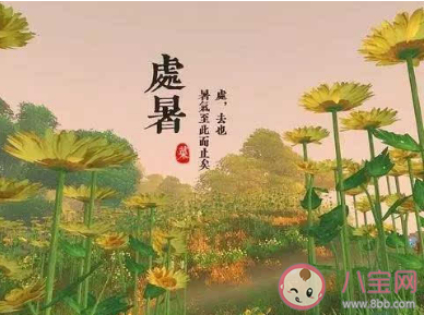2021处暑节气一句话暖心说说句子 2021处暑节气发朋友圈文案说说