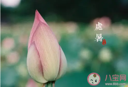 2021处暑节气早安图片朋友圈句子 2021处暑早安心语图片说说句子