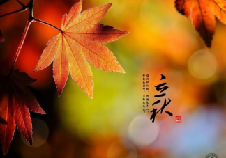 2021秋天的第一波文案句子 秋天来了的温柔朋友圈文案说说大全