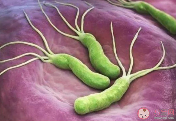 抗幽门螺杆菌牙膏是智商税吗 幽门螺旋杆菌牙膏有用吗 抗幽门螺杆菌牙膏是智商税吗 幽门螺旋杆菌牙膏有用吗