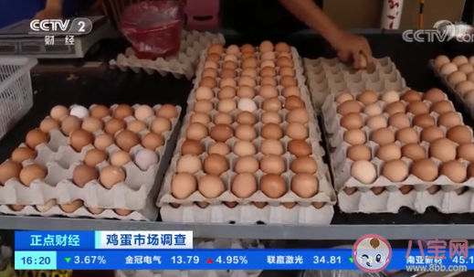 鸡蛋批发价一斤涨一元 鸡蛋为什么涨价了