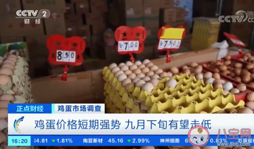 鸡蛋批发价一斤涨一元 鸡蛋为什么涨价了