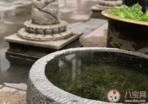 入秋的第一场雨的说说 秋天的第一场雨朋友圈 入秋的第一场雨的说说 秋天的第一场雨朋友圈